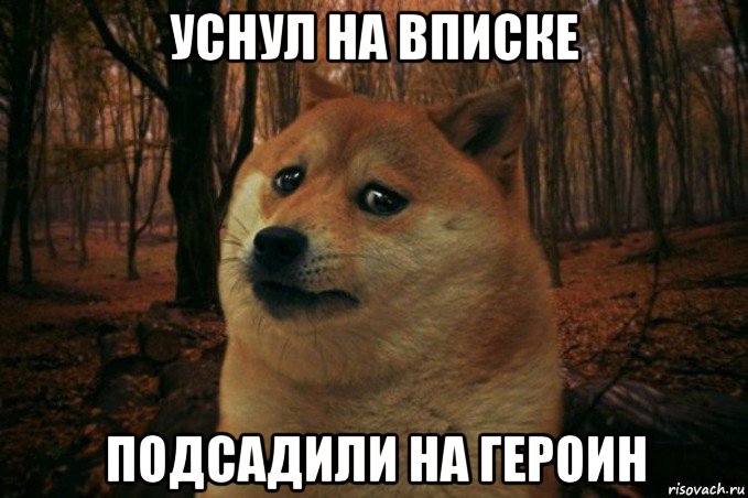 уснул на вписке подсадили на героин, Мем SAD DOGE