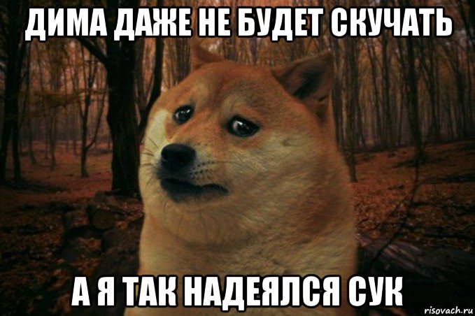 дима даже не будет скучать а я так надеялся сук, Мем SAD DOGE