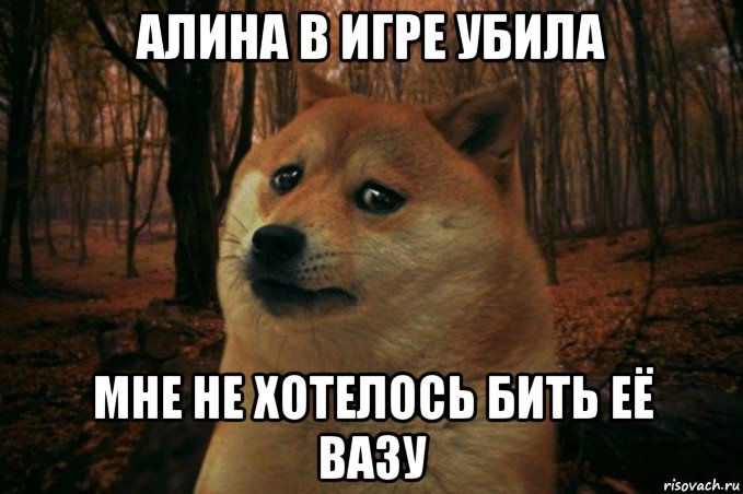 алина в игре убила мне не хотелось бить её вазу, Мем SAD DOGE