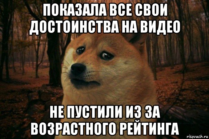 показала все свои достоинства на видео не пустили из за возрастного рейтинга, Мем SAD DOGE