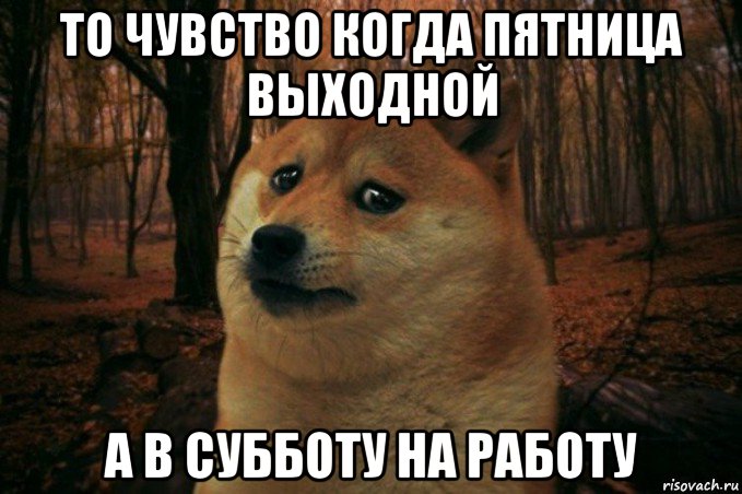 то чувство когда пятница выходной а в субботу на работу, Мем SAD DOGE