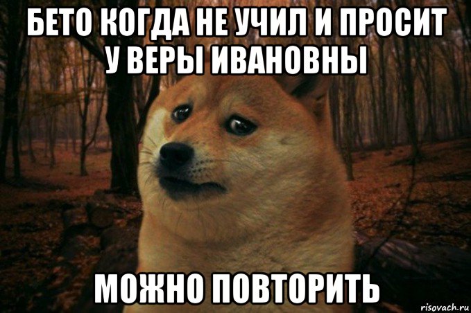 бето когда не учил и просит у веры ивановны можно повторить, Мем SAD DOGE