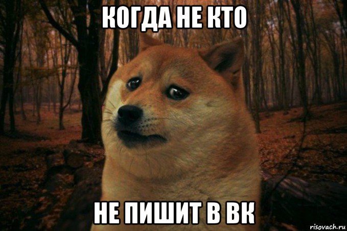 когда не кто не пишит в вк, Мем SAD DOGE