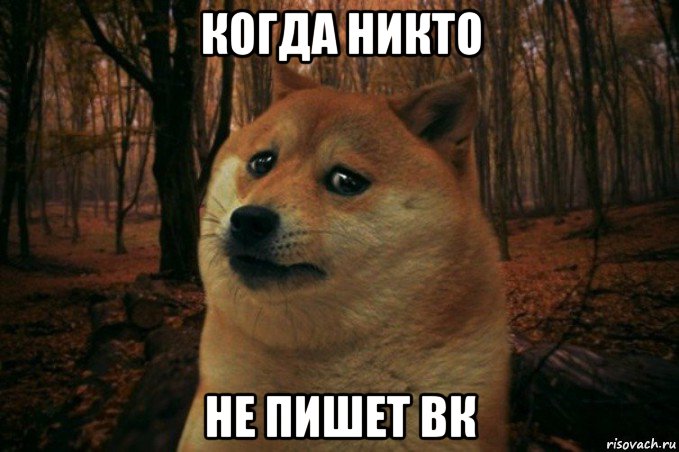 когда никто не пишет вк, Мем SAD DOGE