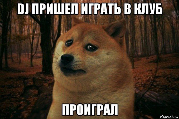 dj пришел играть в клуб проиграл, Мем SAD DOGE