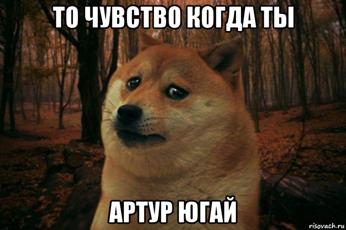 то чувство когда ты артур югай, Мем SAD DOGE