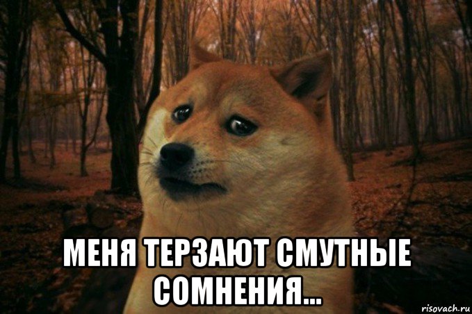  меня терзают смутные сомнения..., Мем SAD DOGE