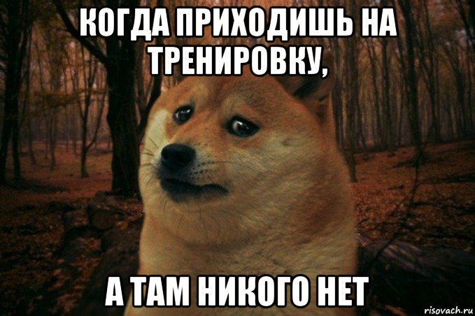 когда приходишь на тренировку, а там никого нет, Мем SAD DOGE