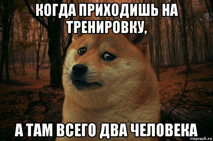 когда приходишь на тренировку, а там всего два человека, Мем SAD DOGE