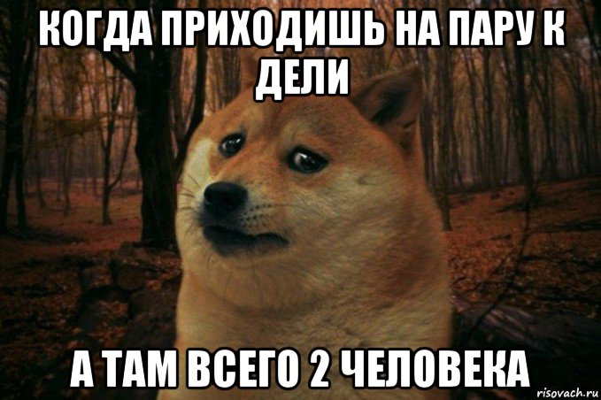 когда приходишь на пару к дели а там всего 2 человека, Мем SAD DOGE