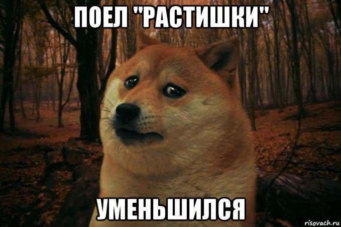 поел "растишки" уменьшился, Мем SAD DOGE