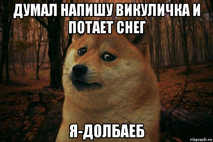 думал напишу викуличка и потает снег я-долбаеб, Мем SAD DOGE