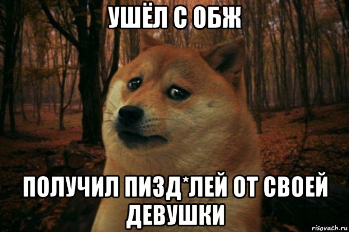 ушёл с обж получил пизд*лей от своей девушки, Мем SAD DOGE