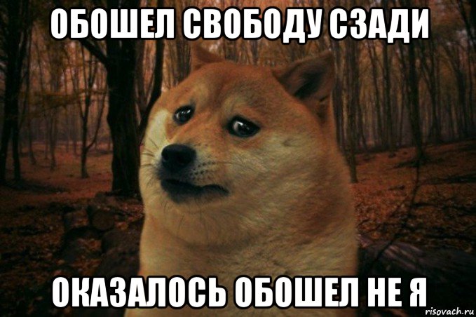 обошел свободу сзади оказалось обошел не я, Мем SAD DOGE