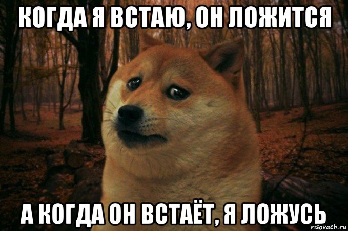 когда я встаю, он ложится а когда он встаёт, я ложусь, Мем SAD DOGE