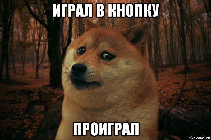 играл в кнопку проиграл, Мем SAD DOGE