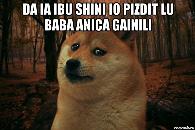 da ia ibu shini io pizdit lu baba anica gainili , Мем SAD DOGE