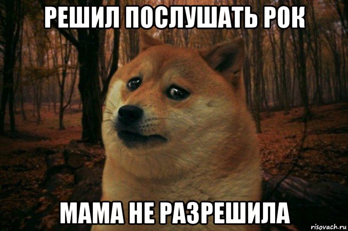 решил послушать рок мама не разрешила, Мем SAD DOGE