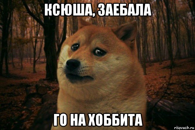 ксюша, заебала го на хоббита, Мем SAD DOGE