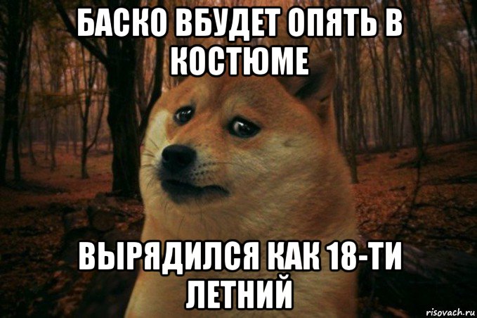 баско вбудет опять в костюме вырядился как 18-ти летний, Мем SAD DOGE