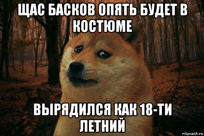 щас басков опять будет в костюме вырядился как 18-ти летний, Мем SAD DOGE