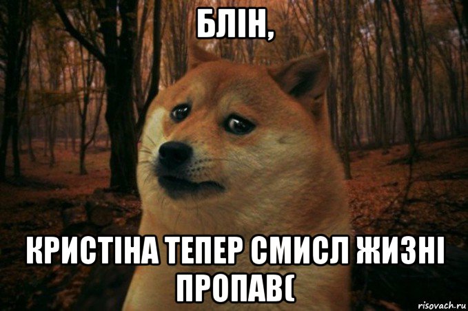 блін, кристіна тепер смисл жизні пропав(, Мем SAD DOGE