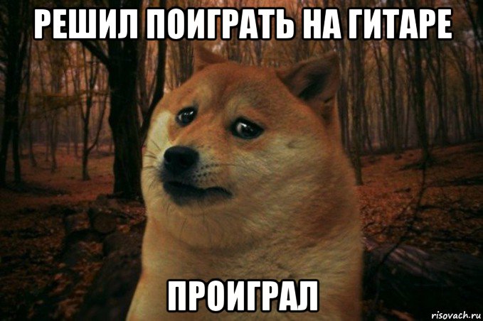 решил поиграть на гитаре проиграл, Мем SAD DOGE