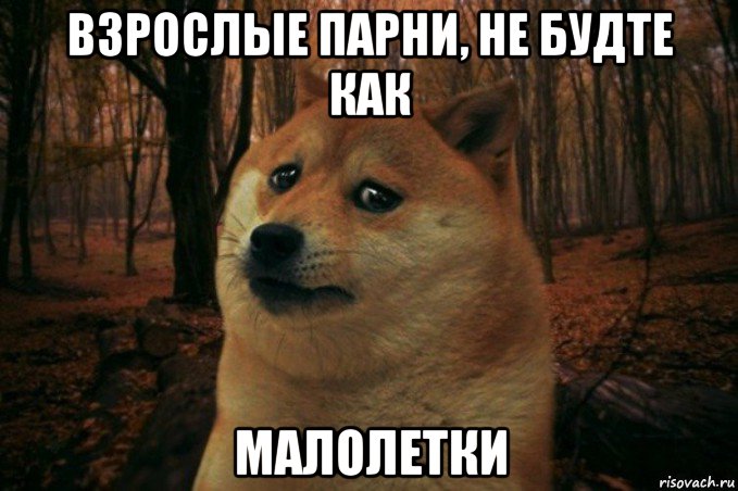 взрослые парни, не будте как малолетки, Мем SAD DOGE