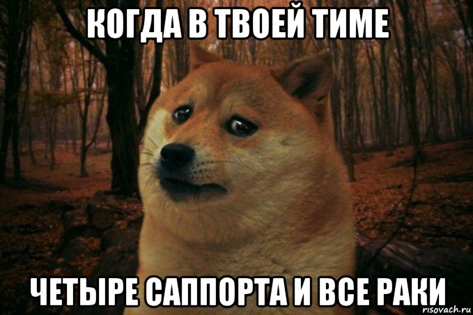 когда в твоей тиме четыре саппорта и все раки, Мем SAD DOGE