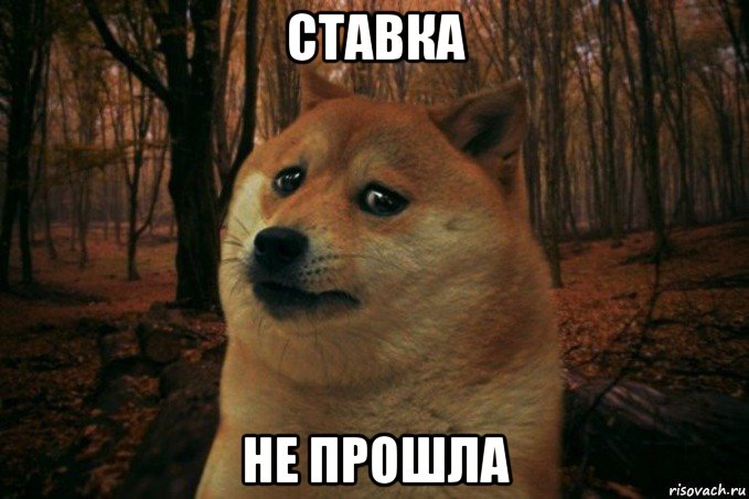 ставка не прошла, Мем SAD DOGE