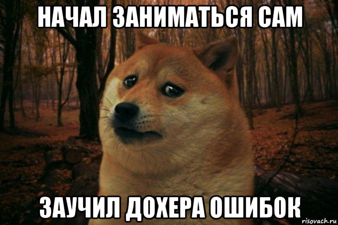 начал заниматься сам заучил дохера ошибок, Мем SAD DOGE