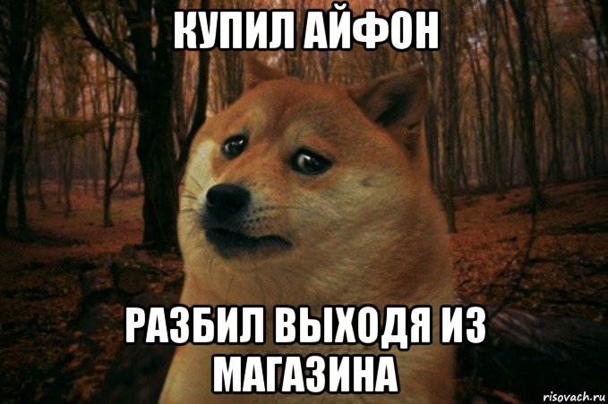 купил айфон разбил выходя из магазина, Мем SAD DOGE