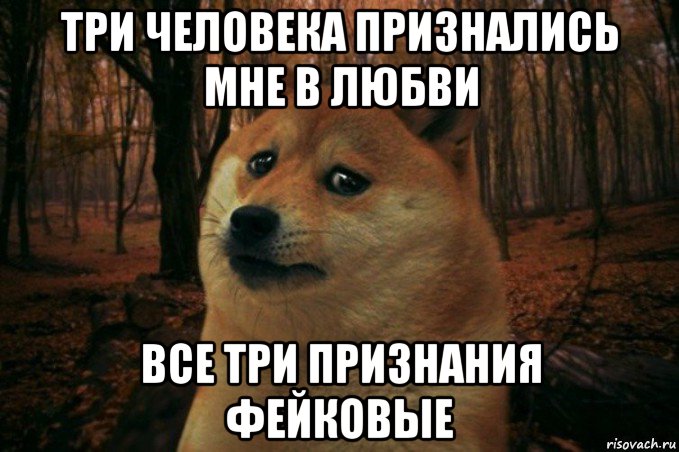 три человека признались мне в любви все три признания фейковые, Мем SAD DOGE