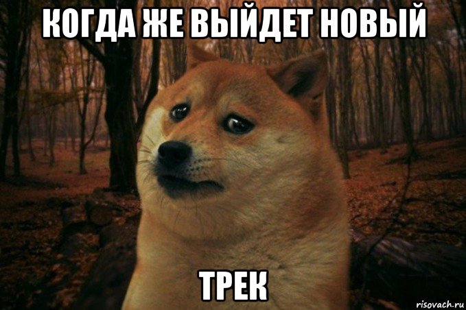 когда же выйдет новый трек, Мем SAD DOGE