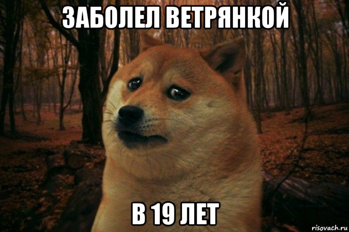 заболел ветрянкой в 19 лет, Мем SAD DOGE