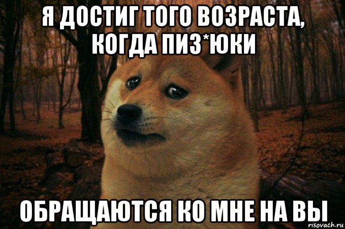 я достиг того возраста, когда пиз*юки обращаются ко мне на вы, Мем SAD DOGE