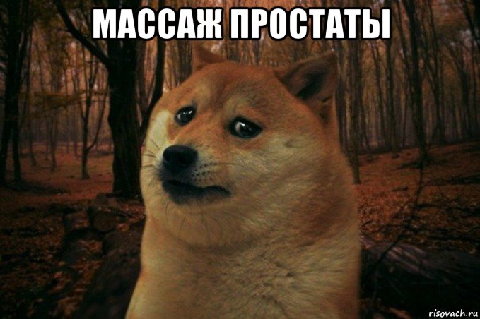 массаж простаты , Мем SAD DOGE