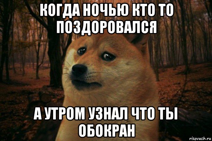 когда ночью кто то поздоровался а утром узнал что ты обокран, Мем SAD DOGE