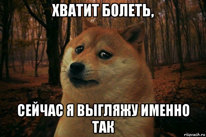 хватит болеть, сейчас я выгляжу именно так, Мем SAD DOGE