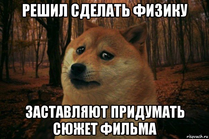 решил сделать физику заставляют придумать сюжет фильма, Мем SAD DOGE