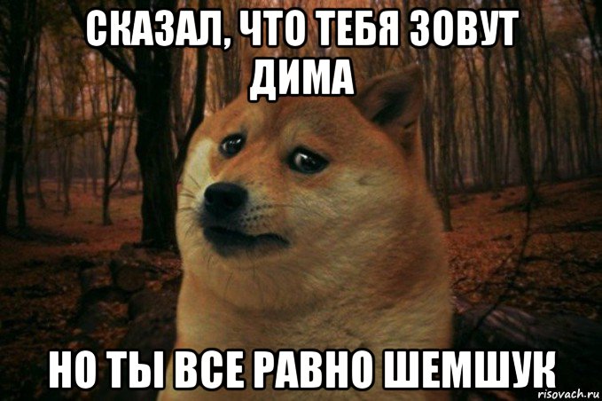 сказал, что тебя зовут дима но ты все равно шемшук, Мем SAD DOGE