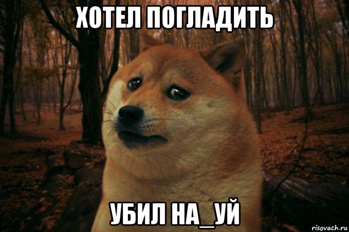 хотел погладить убил на_уй, Мем SAD DOGE