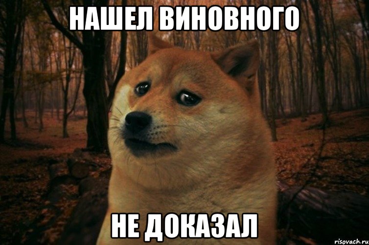 нашел виновного не доказал, Мем SAD DOGE