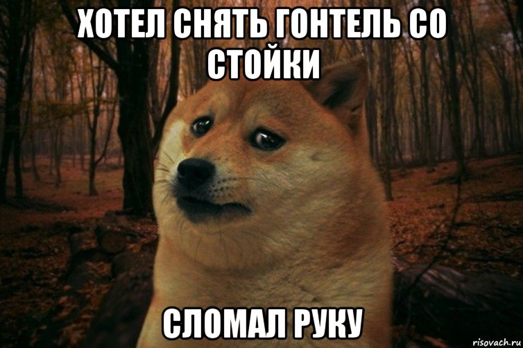 Хотел снять гонтель со стойки сломал руку, Мем SAD DOGE