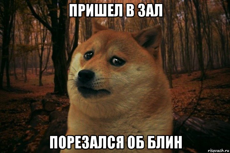 Пришел в зал порезался об блин, Мем SAD DOGE