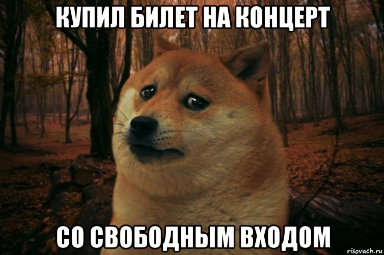 купил билет на концерт со свободным входом, Мем SAD DOGE