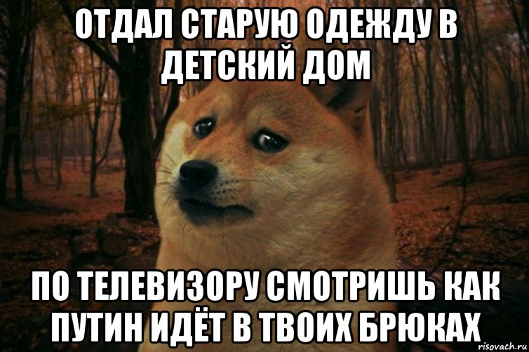 отдал старую одежду в детский дом по телевизору смотришь как путин идёт в твоих брюках, Мем SAD DOGE