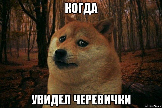 когда увидел черевички, Мем SAD DOGE