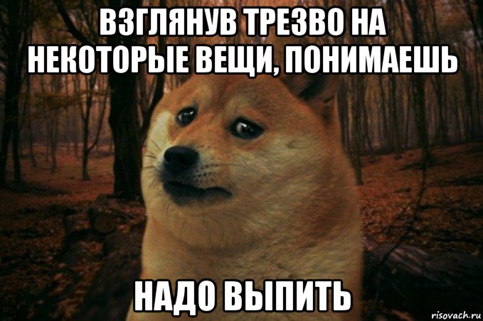 взглянув трезво на некоторые вещи, понимаешь надо выпить, Мем SAD DOGE