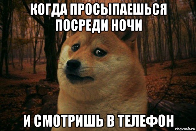 когда просыпаешься посреди ночи и смотришь в телефон, Мем SAD DOGE